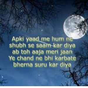 good night shayari